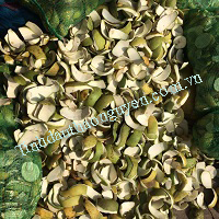 tinh dau vo buoi Thao Nguyen